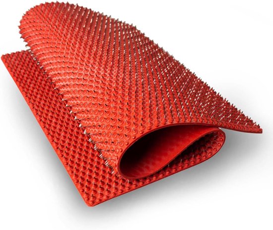 Accupunctuur Mat - Acupressuurmat - Medisch Rubber - 2710 Naden - Triple Efficiëntie - Voor Ontspanning en Pijnverlichting