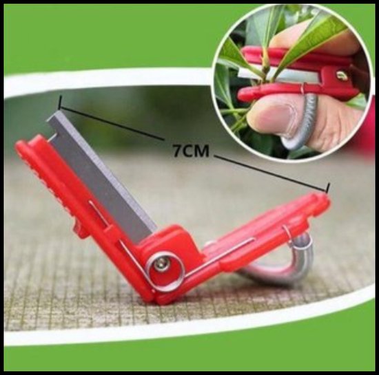 EPIN | Tuinmes | Tuinknipper | Tuinschaar | Plantschaar | Plantknipper | Tuinieren | Moestuin van EPIN