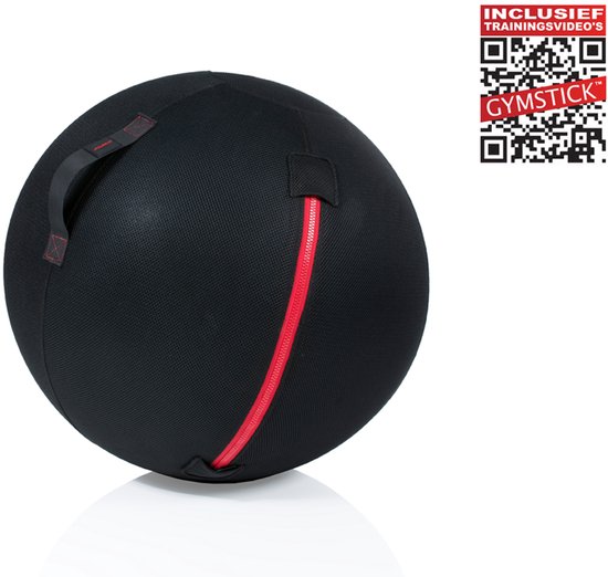 Gymstick Office Ball - 75 cm - Met Online Trainingsvideo's