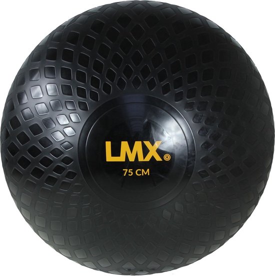 Lifemaxx LMX Gymball Pro 75 cm