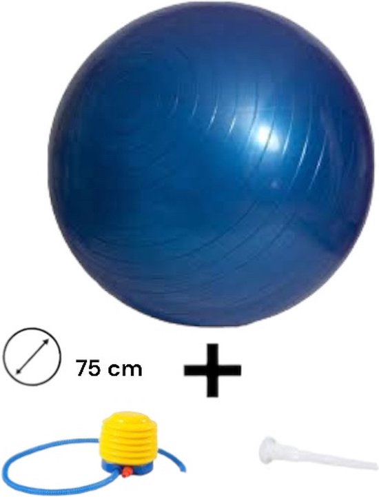 Padisport - Fitnessbal 75 Cm - Zitbal 75 Cm - Zwangerschapsbal - Fysio Bal - Oefenbal - Yoga Bal Inclusief Pomp - Fitnessbal - Pilates Bal - Yoga Bal Blauw - Yoga Bal 75 Cm - Yoga Bal - Fitness - Blauw van Padisport