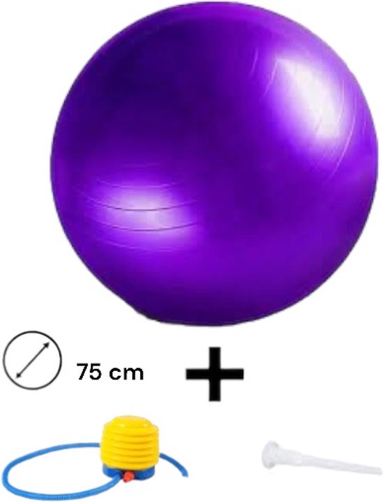 Padisport - fitnessbal 75 cm - zitbal 75 cm - zwangerschapsbal - fysio bal - oefenbal - yoga bal inclusief pomp - fitnessbal - pilates bal - yoga bal paars - yoga bal 75 cm - yoga bal - fitness - paars van Padisport