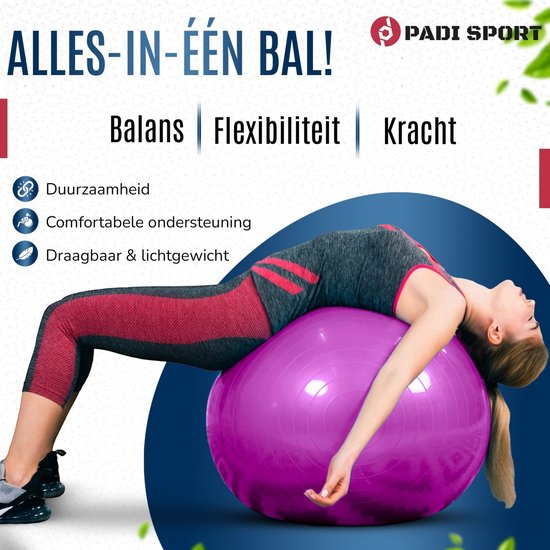 Padisport - Yoga bal - 55 cm - zwangerschapsbal - yoga bal inclusief pomp - fitnessbal - pilates bal - yoga bal roze - yoga bal 55 cm - yoga - fitness - roze van Merkloos