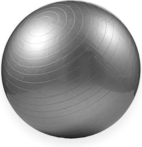Padisport - Yoga Bal - 85 Cm - Zwangerschapsbal - Yoga Bal Inclusief Pomp - Fitnessbal - Pilates Bal - Yoga Bal Zilver - Yoga Bal 85 Cm - Yoga - Fitness - Zilver van Padisport