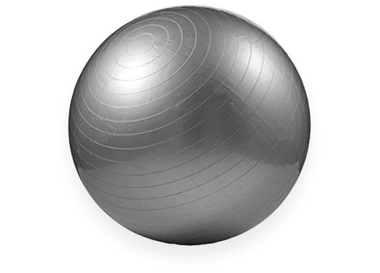 Padisport Yoga Bal 95 Cm - Zwangerschapsbal - Fysio Bal - Evenwichtsbal Fitness Bal - Oefenbal van Padisport
