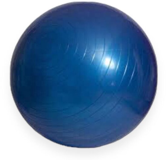 Padisport Yoga Bal 95 Cm - Zwangerschapsbal - Fysio Bal - Evenwichtsbal Fitness Bal - Oefenbal van Merkloos
