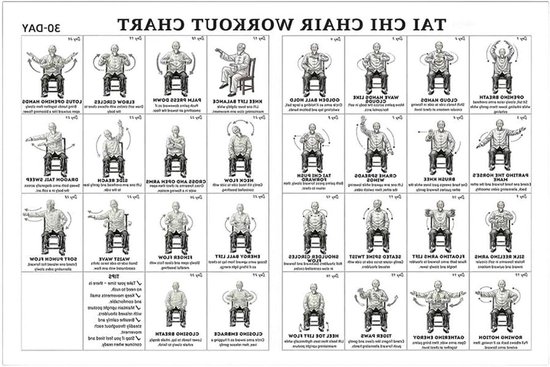 Stoel Yoga Plan - Oefen Poster - Thuis Fitness - Senioren Vriendelijk - 45 x 30 cm - Meerkleurig