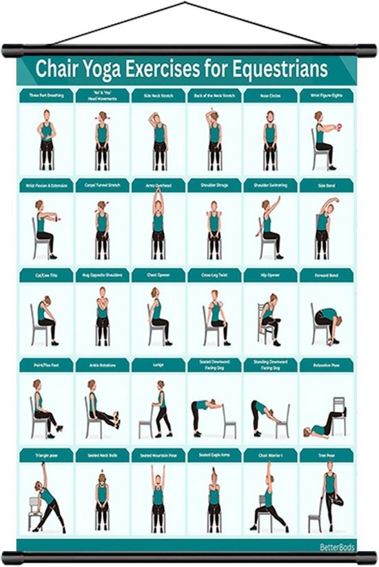 Stoel Yoga Poster - Oefenschema Fitness - Senioren Bewegen - Meer dan 30 Posities - 40 x 60 cm - Blauw