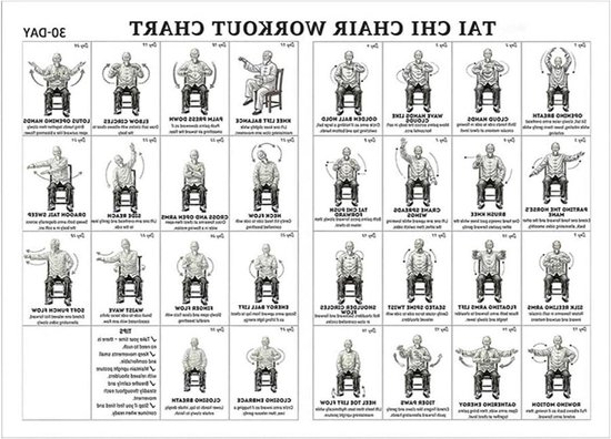 Tai Chi Stoel Workout Poster - Zittende Oefeningen Kaart - Thuis Fitness - Groot Lettertype - 30 x 45 cm