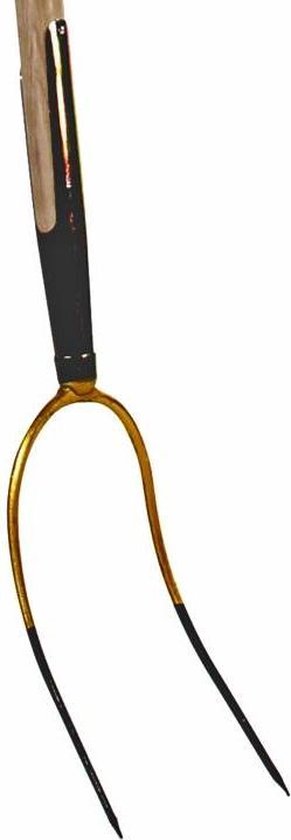 Talen Tools - Hooivork - Tweetand - Zonder steel van Talen Tools