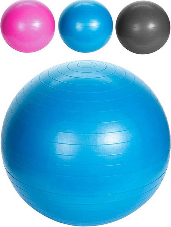 Yoga ball XQ Max Ø 55 cm van XQ Max