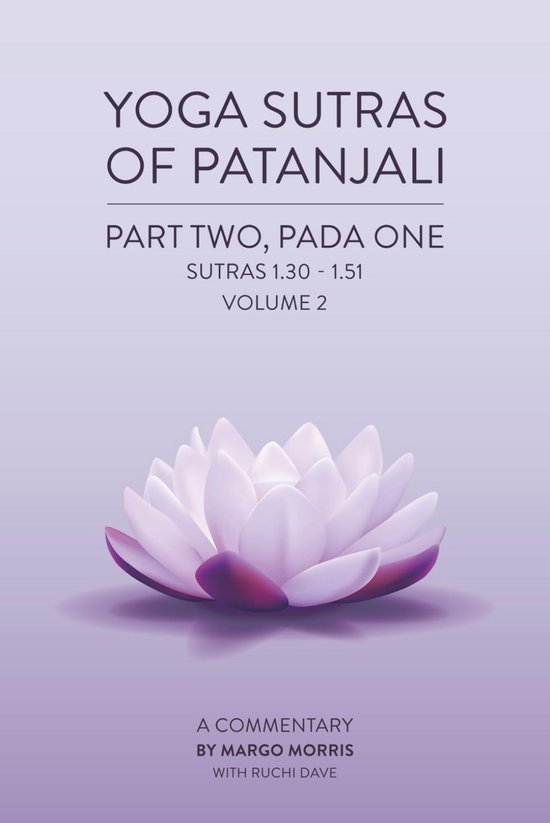 Yoga Sutra's Patanjali: Deel Twee - Commentaar op Meditatie en Bewustzijn